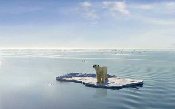 The Climate Crisis | Global Warming Polar Bears on Ice