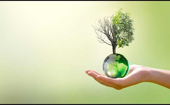 Climate-Aware Portfolios Image Hand Holding Glass Earh and Tree